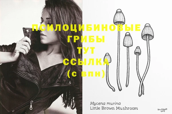 mdpv Алзамай