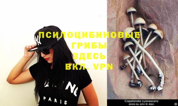 кокс Алексеевка