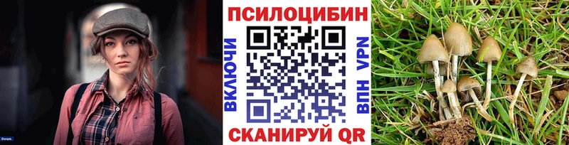 Галлюциногенные грибы Psilocybine cubensis  Завитинск 